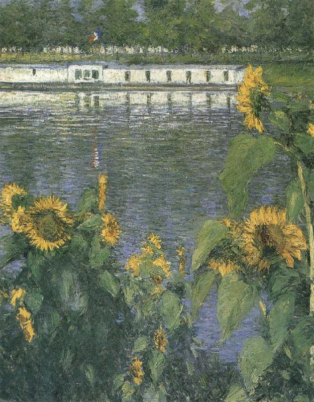 The sunflowers of waterside, Gustave Caillebotte